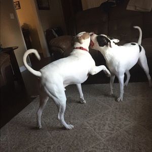 Meet your Posher, Shawn